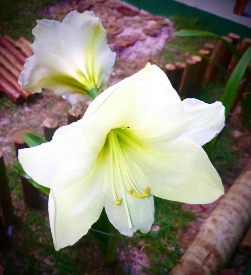 Pousada Tauane Caraiva Luaran gambar